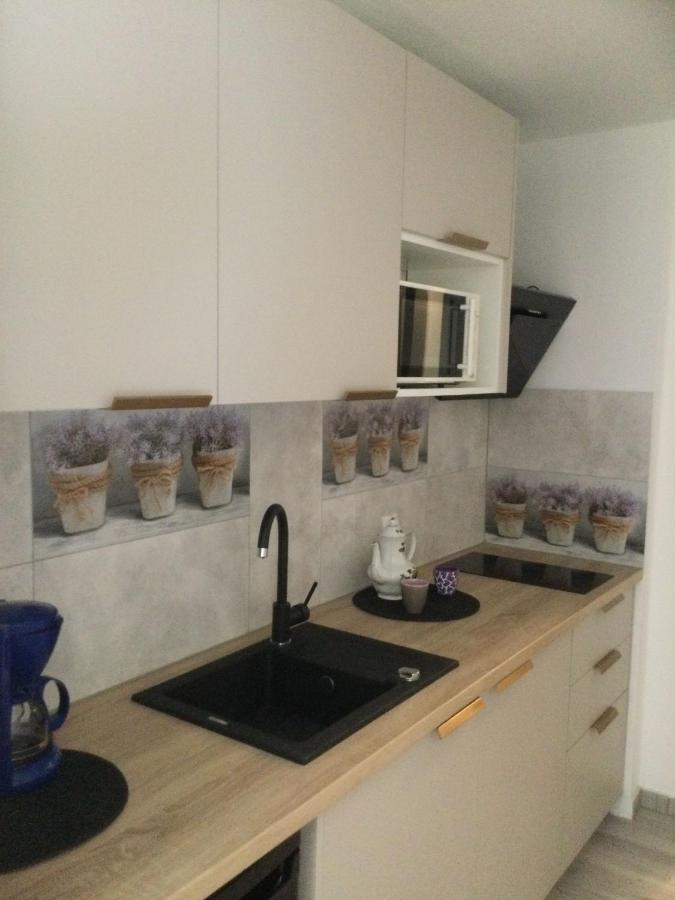 Ferienwohnung Avila , Stadtmitte Karpacz Εξωτερικό φωτογραφία